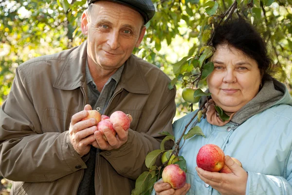 Medelålders man och kvinna med äpplen — Stockfoto