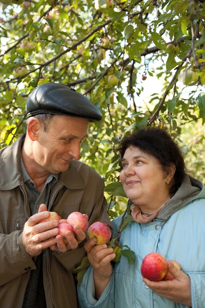Homem e mulher de meia idade com maçãs — Fotografia de Stock