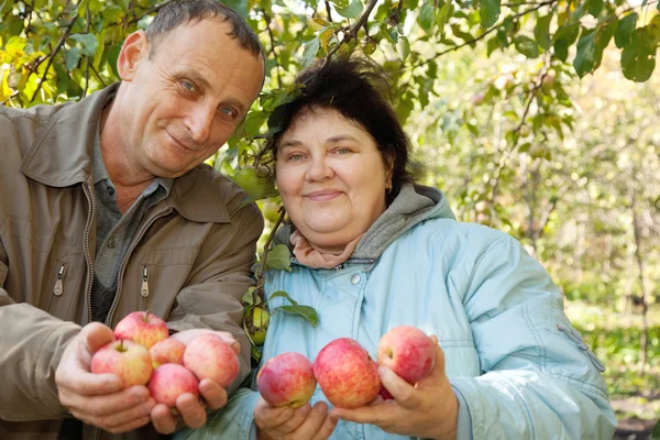 Mann und Frau mittleren Alters mit Äpfeln — Stockfoto