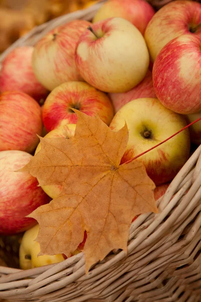 Cesta de maçãs — Fotografia de Stock