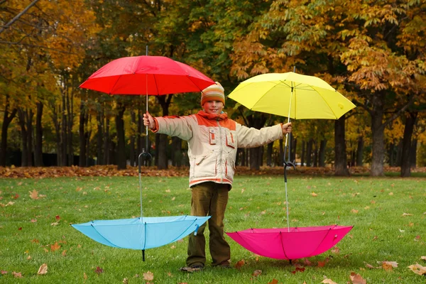 Paraplu's in herfst park — Stockfoto