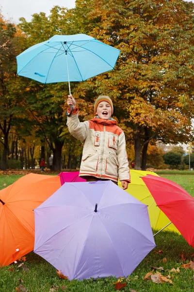 Umbrellas in autumn park — Stock Photo, Image