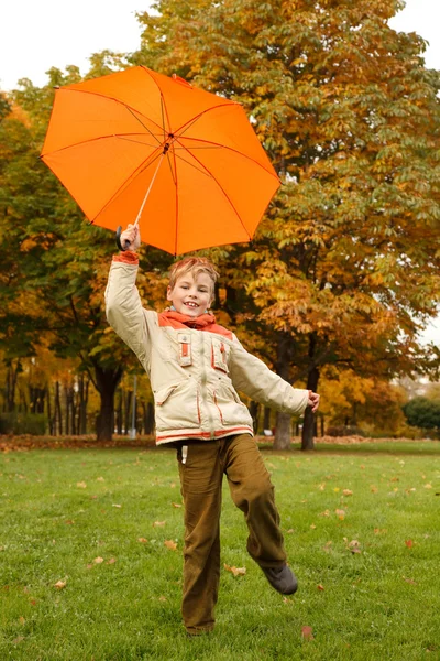 Paraplyer i höst park — Stockfoto