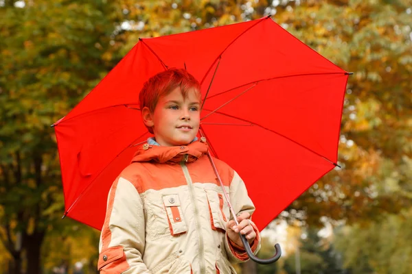 Umbrellas in autumn park — Stock Photo, Image