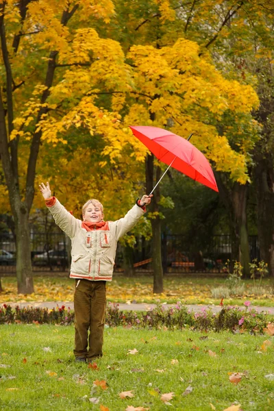 Guarda-chuvas no parque de outono — Fotografia de Stock