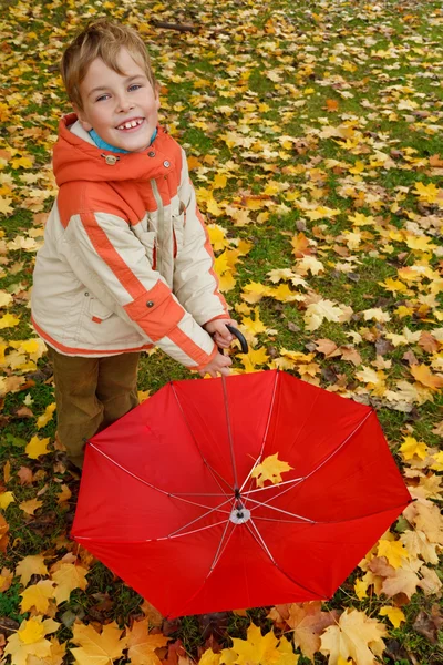 Ombrelli nel parco autunnale — Foto Stock