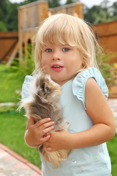 Little girl plays with Guinea pig on meadow — Stock Photo, Image