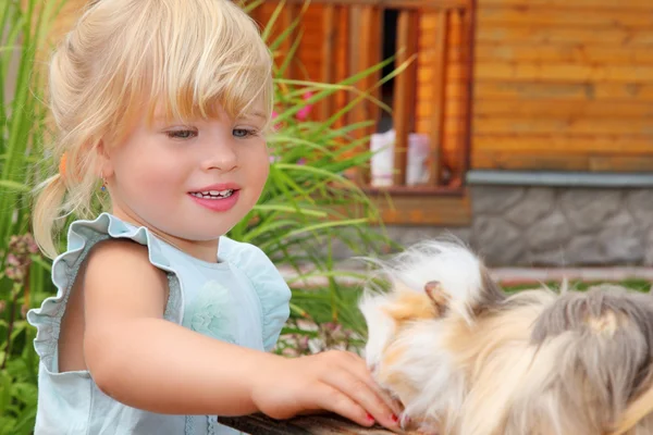 Little girl feeds Guinea pig in courtyard near house — Stock Photo, Image