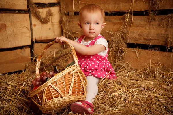 La niña sobre paja con una cesta — Foto de Stock