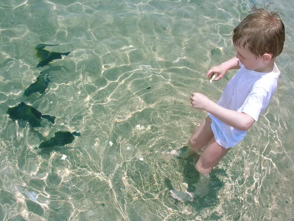 Мальчик кормит рыбу водой — стоковое фото