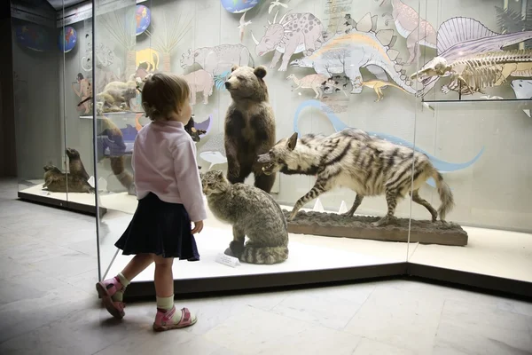 Klein meisje in natuurlijke museum — Stockfoto