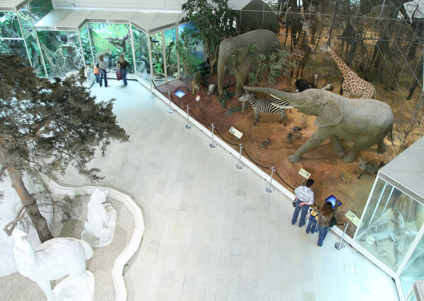 Visitors in natural museum