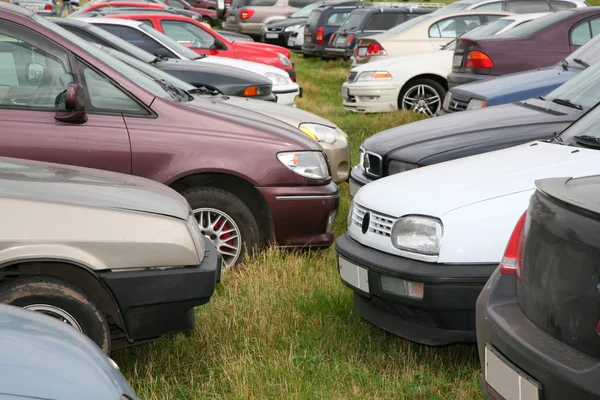 Muchos coches en la hierba — Foto de Stock