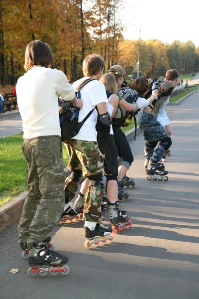 The group of rollers from behind — Stock Photo, Image