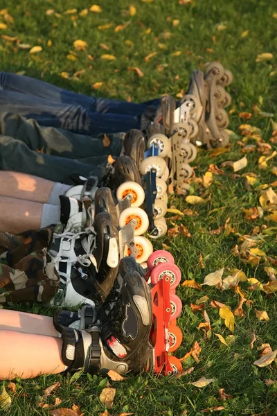 Rij van roller benen op het gras — Stockfoto