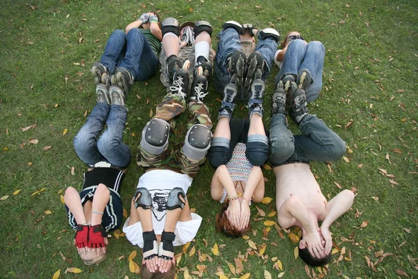 The group of rollers on the grass — Stock Photo, Image