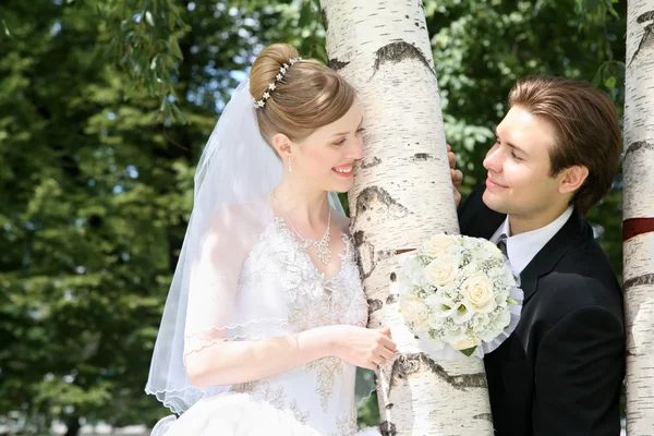 Verlobter mit der Braut in der Birke — Stockfoto
