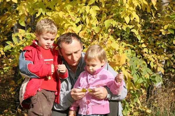 Grandfather with the grandson and granddaughter in park in autumn — Stock Photo, Image