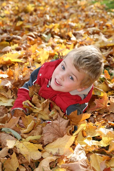 Ребенок в кленовых листьях — стоковое фото