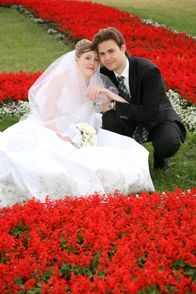 Bruid met de verloofde onder het is bloemen — Stockfoto