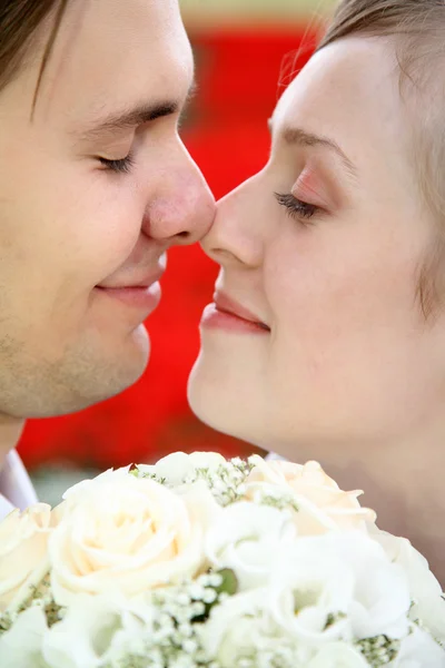 Bride with the fiance, they concern by the noses — Stock Photo, Image