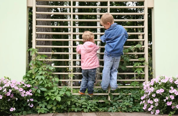 Children climbed up to the lattice in the park — Stock Photo, Image