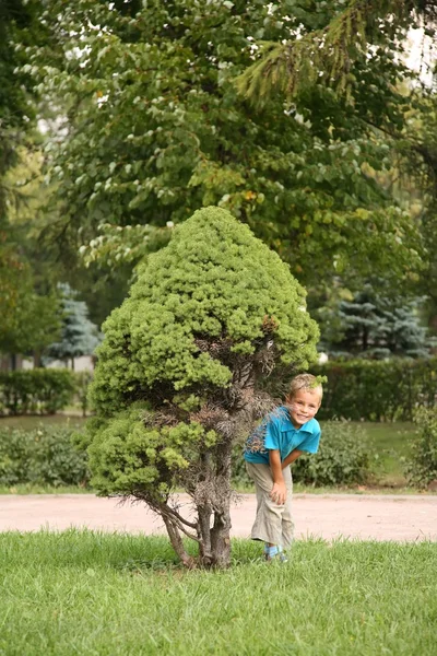 Мальчик в парке — стоковое фото