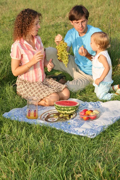 Familia en el picnic — Foto de Stock