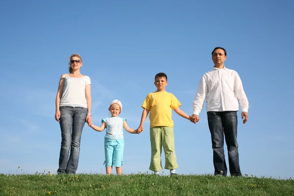 Family of four on grass — Stock Photo, Image