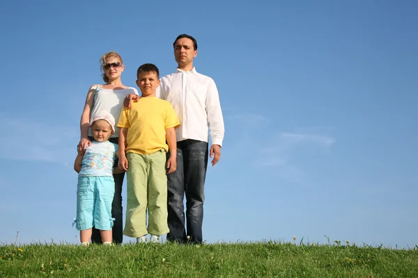 草地上的四人家庭 — 图库照片
