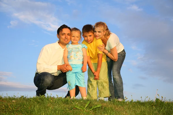 Aile çim gökyüzü — Stok fotoğraf