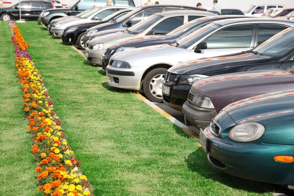 Parking near the lawn — Stock Photo, Image