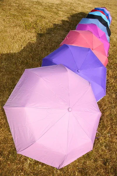 Paraplyer på ängen — Stockfoto