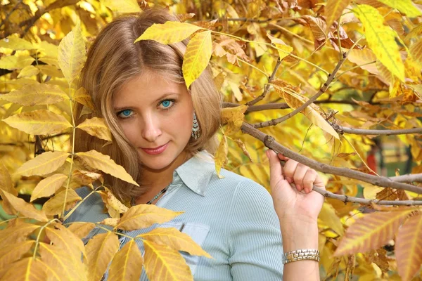 Blauwogige blond onder gele bladeren — Stockfoto