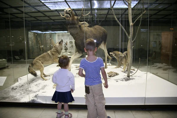 Діти в природному музеї — стокове фото