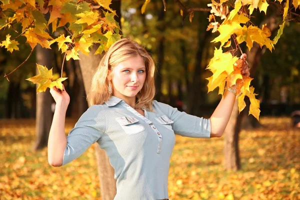 Modrooký blondýna v parku na podzim žluté listy — Stock fotografie