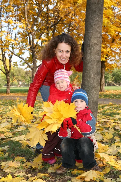 Family in the park in autumn — Stock Photo, Image