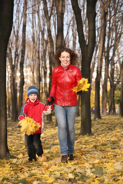 Mãe vai para um passeio com o filho no parque no outono com licença amarela — Fotografia de Stock