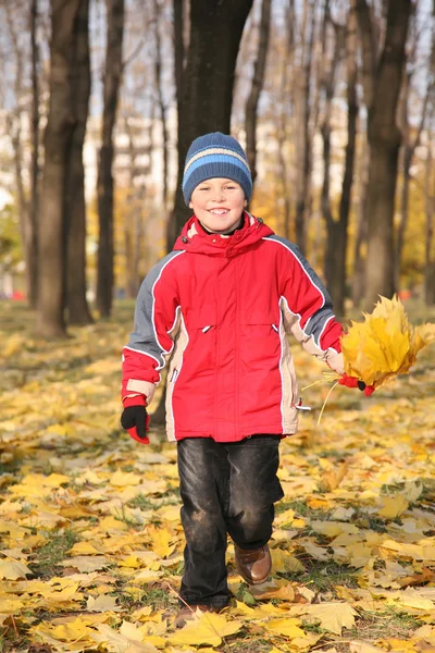 Chlapec jde se projít do parku na podzim žluté listy — Stock fotografie