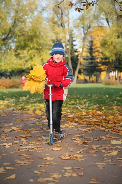Boy on the scooter in the park in autumn with yellow leaves — Stock Photo, Image
