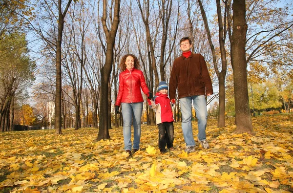 Family goes for a walk in the park in autumn — Stock Photo, Image