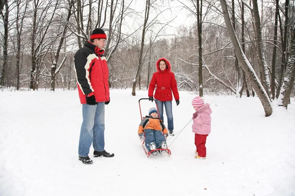 Родители с детьми прогуливаются в парке зимой — стоковое фото