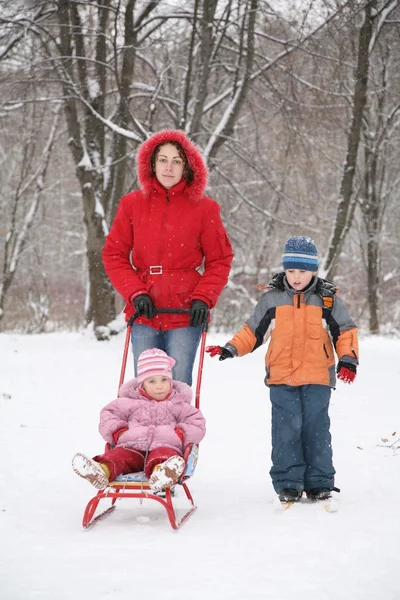 Мама с санями и детьми в парке зимой — стоковое фото