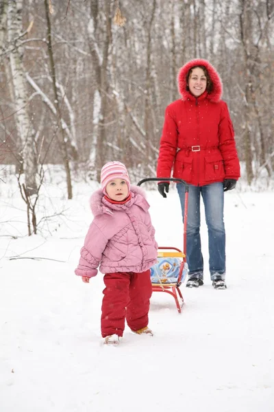 Ребенок с санями и мать в парке зимой 2 — стоковое фото