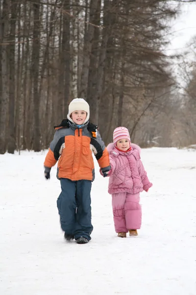 Bror och syster promenad i park i vinter — Stockfoto