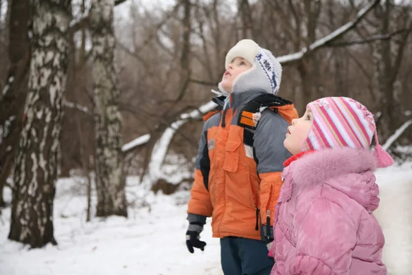 Garçon et fille stand et regarder dans le parc en hiver — Photo