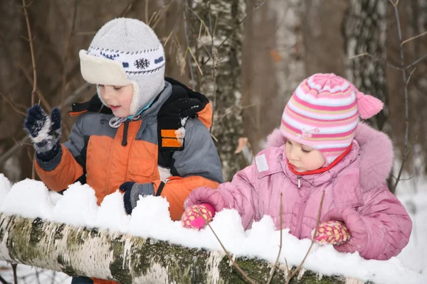 男の子と女の子の冬の森林に淡い — ストック写真