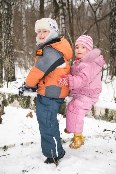 Chłopiec i dziewczynka siedzieć na Spasione drzewo w lesie w zimie — Zdjęcie stockowe