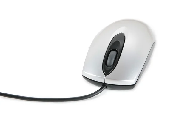 Bilgisayar mouse 1 — Stok fotoğraf