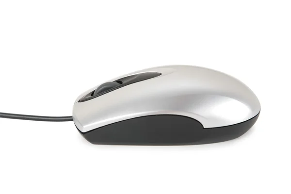 Bilgisayar mouse 2 — Stok fotoğraf